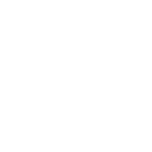 Computer Software concessionaria Argo
